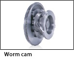 Worm cam